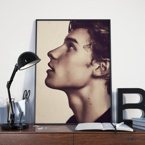 Shawn Mendes Custom Poster, Shawn Mendes Canvas Rolls, Custom Music Canvas, Home decor, Wall Hanging, Singer Canvas Rolls