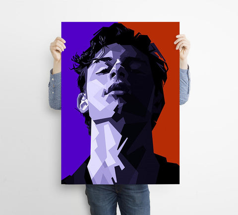 Shawn Mendes Custom Poster, Shawn Mendes Canvas Rolls, Custom Music Canvas, Home decor, Wall Hanging, Singer Canvas Rolls