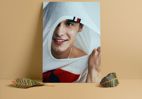 Shawn Mendes Custom Poster, Shawn Mendes Canvas Rolls, Custom Music Canvas, Home decor, Wall Hanging, Singer Canvas Rolls