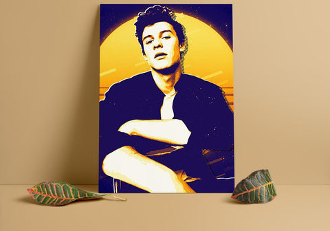 Shawn Mendes Custom Poster, Shawn Mendes Canvas Rolls, Custom Music Canvas, Home decor, Wall Hanging, Singer Canvas Rolls