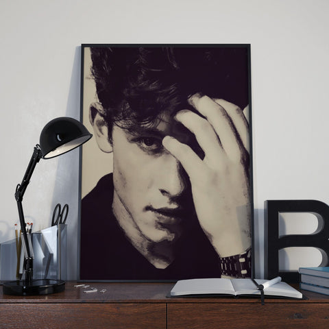 Shawn Mendes Custom Poster, Shawn Mendes Canvas Rolls, Custom Music Canvas, Home decor, Wall Hanging, Singer Canvas Rolls