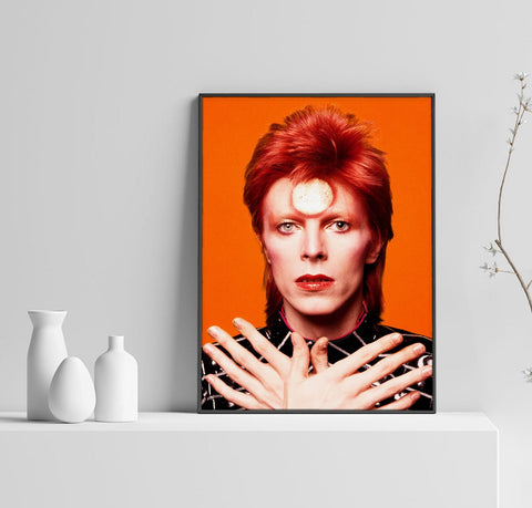 David Bowie Poster, Ziggy Stardust Art, Bowie Print, Home Decor, Custom Poster, Wall Art, Canvas Poster, Rolled Canvas, Home Decoration
